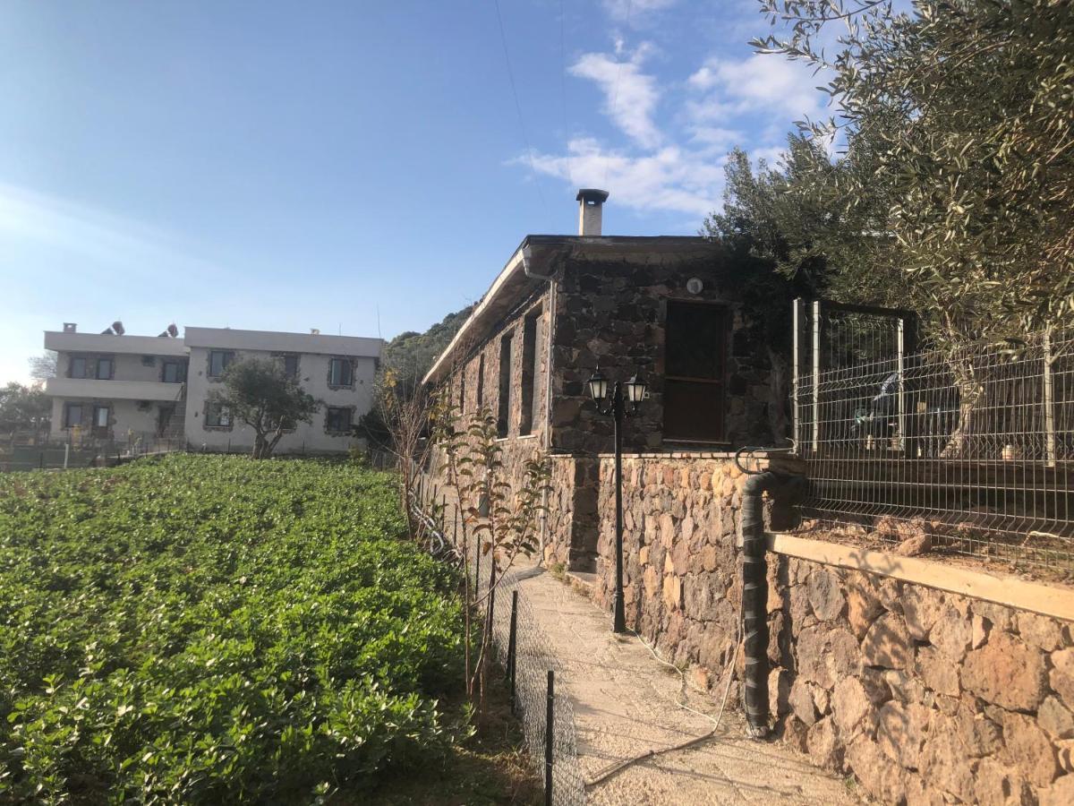 Assos Alis Farm Boutique Hotel & Spa Exterior photo